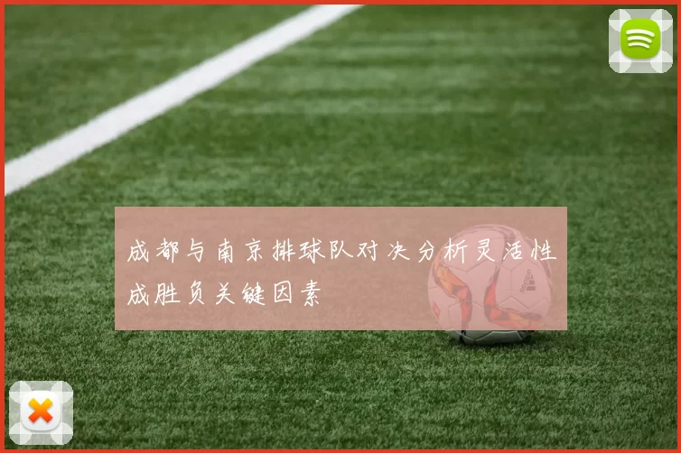 成都与南京排球队对决分析灵活性成胜负关键因素