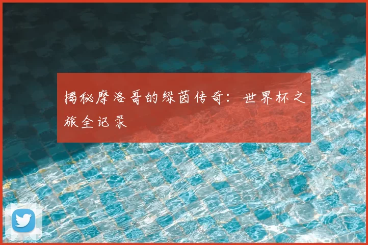 揭秘摩洛哥的绿茵传奇：世界杯之旅全记录