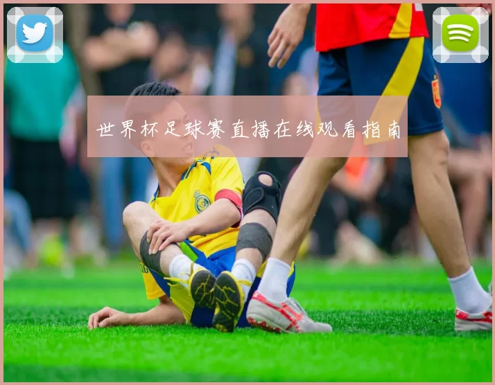 世界杯足球赛直播在线观看指南