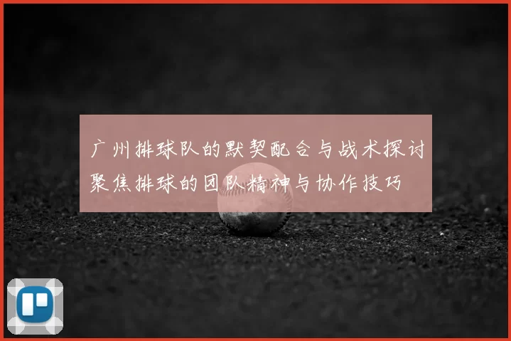 广州排球队的默契配合与战术探讨聚焦排球的团队精神与协作技巧