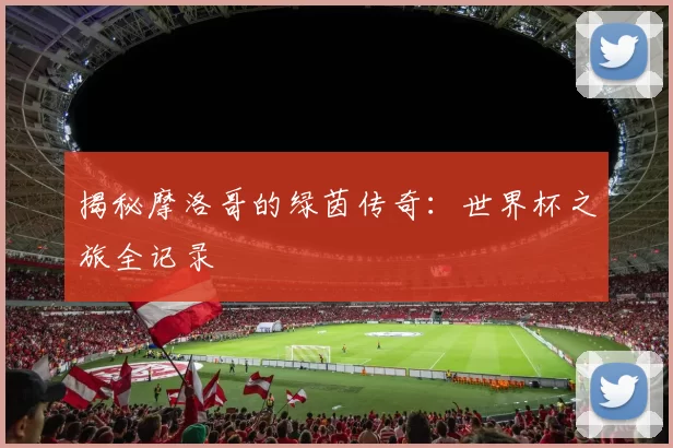 揭秘摩洛哥的绿茵传奇：世界杯之旅全记录