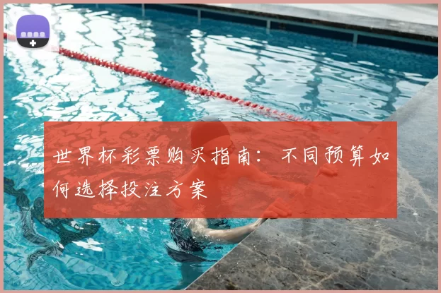 世界杯彩票购买指南：不同预算如何选择投注方案