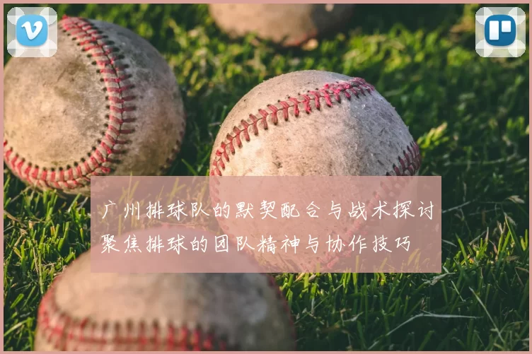 广州排球队的默契配合与战术探讨聚焦排球的团队精神与协作技巧