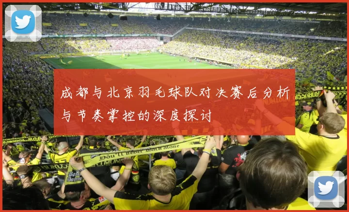 成都与北京羽毛球队对决赛后分析与节奏掌控的深度探讨