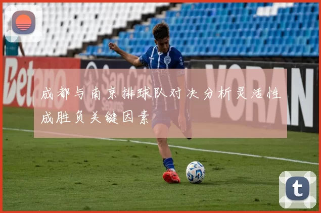 成都与南京排球队对决分析灵活性成胜负关键因素
