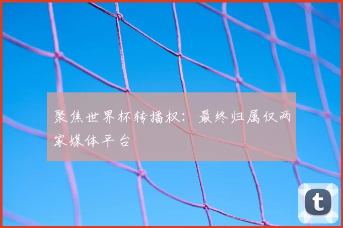 聚焦世界杯转播权：最终归属仅两家媒体平台