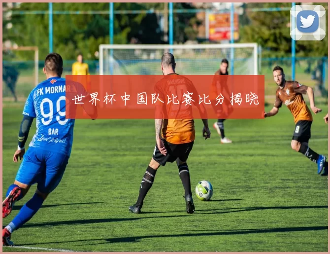 世界杯中国队比赛比分揭晓