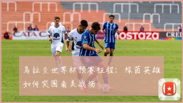 乌拉圭世界杯预赛征程：绿茵英雄如何突围南美战场