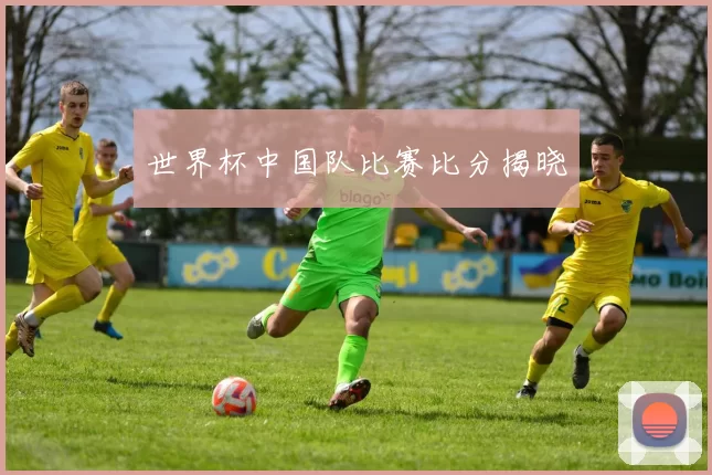世界杯中国队比赛比分揭晓