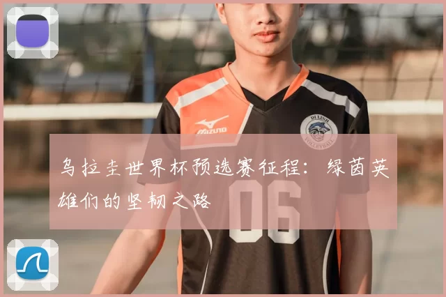 乌拉圭世界杯预选赛征程:绿茵英雄们的坚韧之路