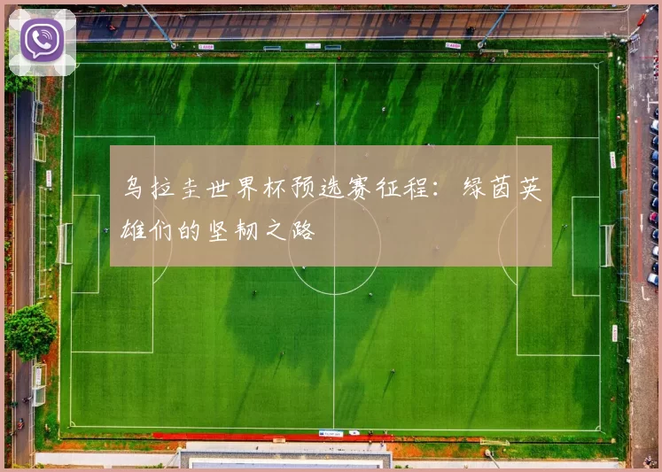 乌拉圭世界杯预选赛征程:绿茵英雄们的坚韧之路
