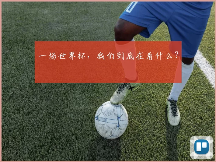 一场世界杯,我们到底在看什么?