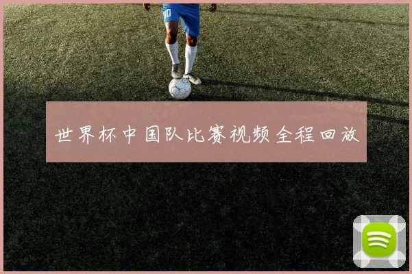 世界杯中国队比赛视频全程回放