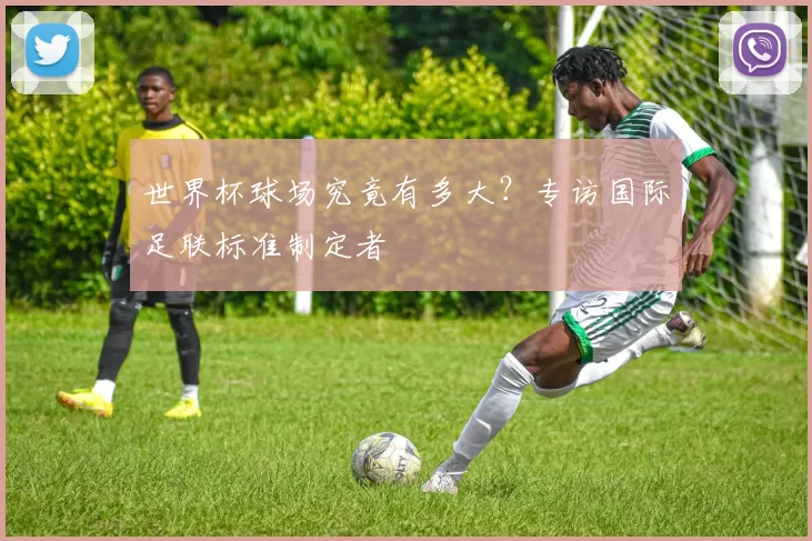 世界杯球场究竟有多大?专访国际足联标准制定者