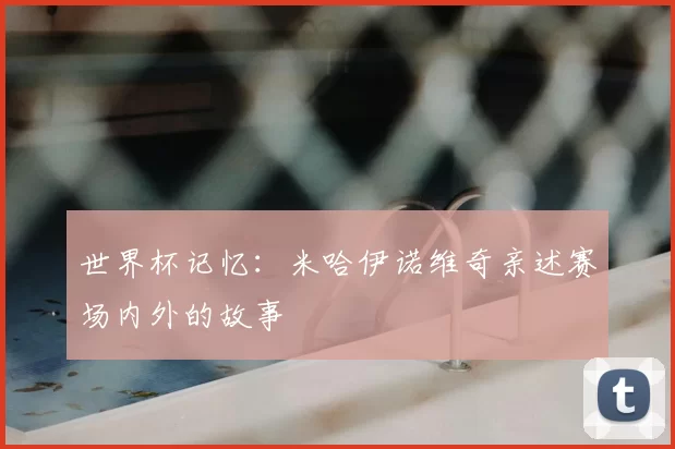 世界杯记忆:米哈伊诺维奇亲述赛场内外的故事