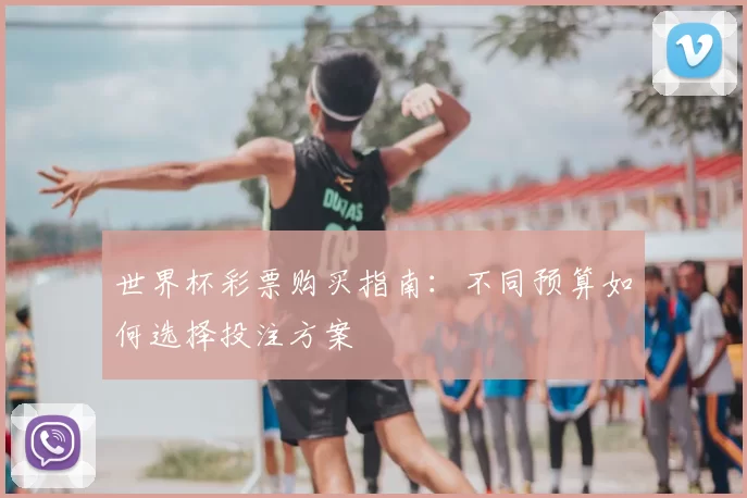 世界杯彩票购买指南：不同预算如何选择投注方案
